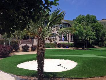 Artificial Grass Photos: Synthetic Pet Turf South Whittier California Landscape